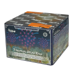 Funke Towards Dead End 