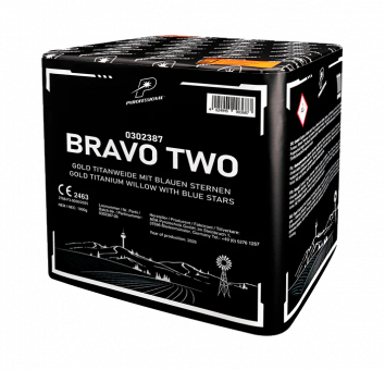 Startrade Bravo Two 